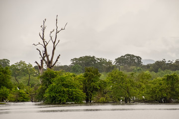 Landschaftsbilder von Sri Lanka