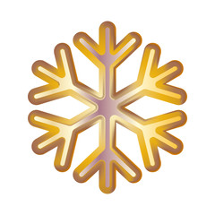 Golden snowflake. Volumetric moderate lighting on a dark background. Kit. Vector illustration