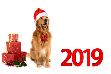 new year 2019 holiday christmas fun gifts tradition snowflake balls