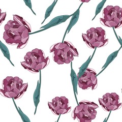 Seamless pattern of a violet Tulip flowers on a white background. 
