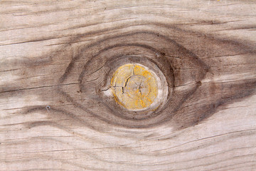 Old wood texture