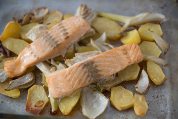 Salmon