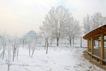 snow-covered landscape in a park