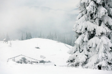 frozen very beautiful trees. Winter tale. Landscape to admire. superb mountains
