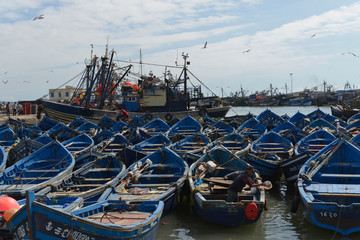 Fototapeta na wymiar Die typischen blauen Fischerboote im Hafen von Essaouira, Marokko, Afrika