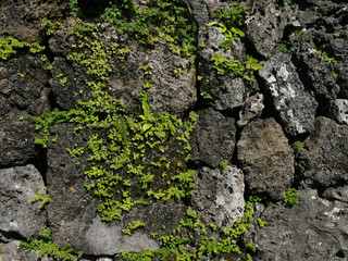 old stone wall background