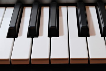 Piano Tasten