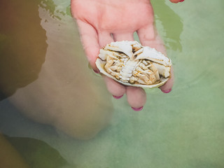 white Ghost Crab Beach on the island