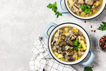 Healthy vegan wild mushroom soup in pots on grey concrete background. Top view, space for text.