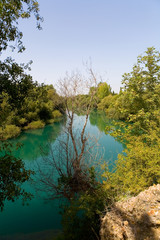 Dry tree on the background of water beautiful color.