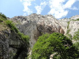 montagne, vue vers les rochers
