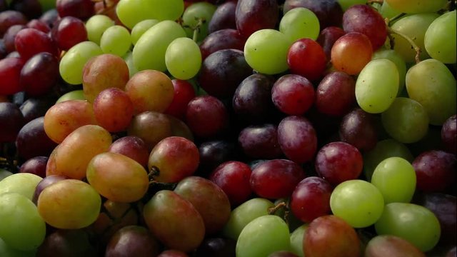 Big Pile Of Grapes Food Display