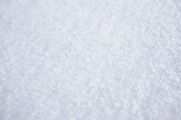 Snow close up.