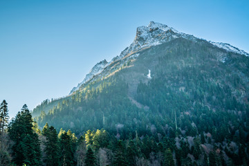 beautiful view on theater peak and pine forest with clear sky in Dombay caucasus mountains during cold autumn morning