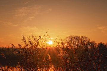 Good morning rising sun