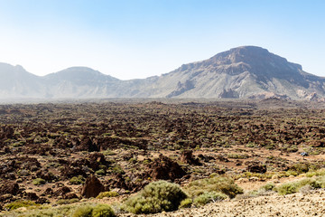 Fototapeta premium Nationalpark El Teide in Teneriffa,