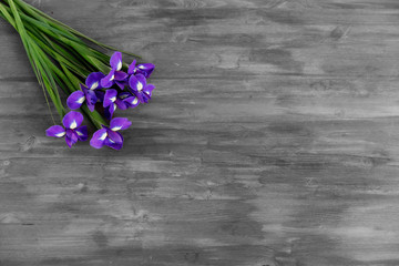 Bouquet of flowers iris lies on a wooden gray table