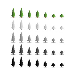 Obraz premium Pine trees isolated on white background.