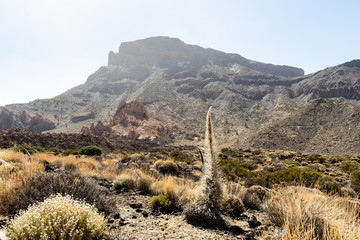Nationalpark El Teide in Teneriffa,