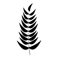 branch leaves natural tropical