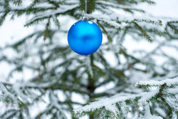  New Year's blue ball on a green vibrant tree covered with snow.