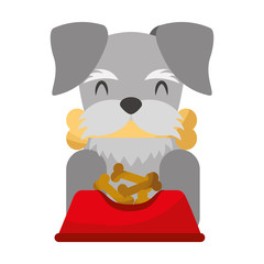 dog biting bone and bowl food