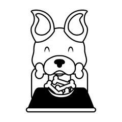 dog biting bone and bowl food