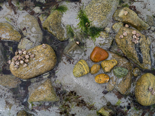 stones in water