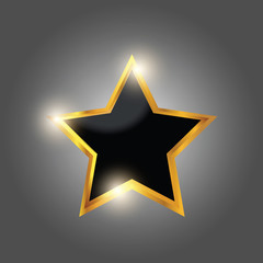 Shiny Golden Star Luxury Premium Icon