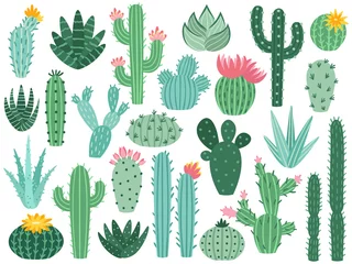 Foto op Canvas Mexicaanse cactus en aloë. Woestijn stekelige plant, mexico cactussen bloem en tropische huisplanten geïsoleerde vector collectie © Tartila