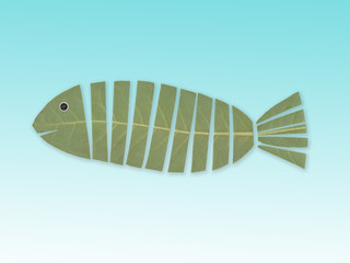 Fisch auf blauen hintergrund.