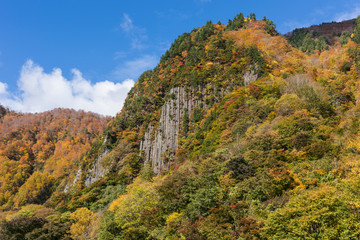 秋山郷布岩の紅葉