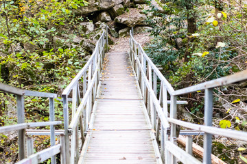 Bridge in forest on Agur gorge