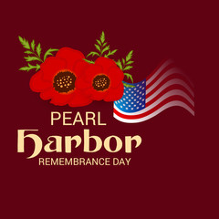 Pearl Harbor Remembrance Day.