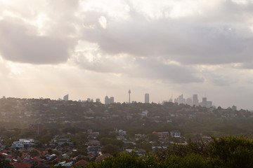 Sydney tower and CBD view in the distance.