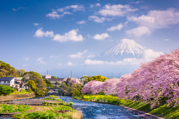 Mt. Fuji, Japan spring landscape.