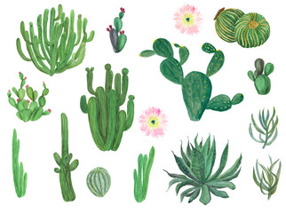 watercolor painting big set with hand drawn cactus garden elements © ramiia