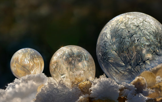 Frozen soap bubbles on a cold winter day
