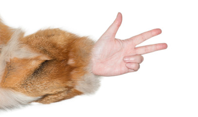 Frauenhand zeigt eine Gestik als Zeichensprache 