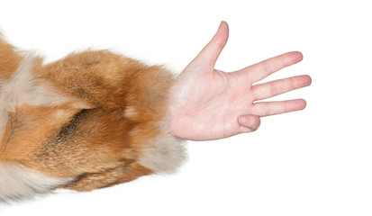 Frauenhand zeigt eine Gestik als Zeichensprache 