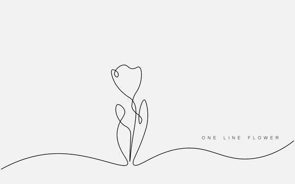 10 922 Best One Line Drawing Flower Images Stock Photos Vectors Adobe Stock