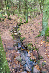 Fototapeta premium large granite rock single in nature