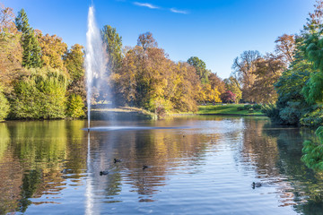 Ententeich mit Fontäne und herbstlichen Bäumen in der Grünanlage Warmer Damm in Wiesbaden