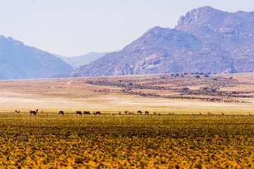 namibia desert mountains d707