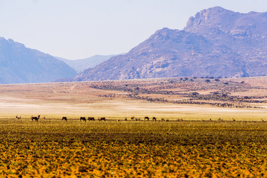 namibia desert mountains d707