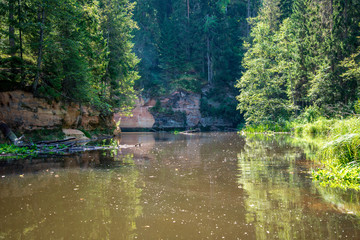 Fototapeta na wymiar water stream in river of Amata in Latvia with sandstone cliffs, green foliage