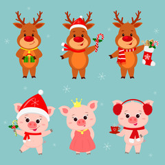 New Year and Christmas card. A set of three deer and three pigs characters in different hats and costumes in winter. Box gift, sock, lollipops, cocoa. Cartoon style, vector