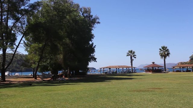 kam alanı