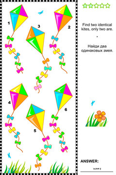 Visual puzzle or picture riddle: Find two identical kites. Answer included.
