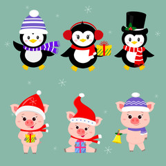 New Year and Christmas card. A set of three piglets and three penguins is typical in different hats and poses in winter. Gift box, bell. Cartoon style, vector